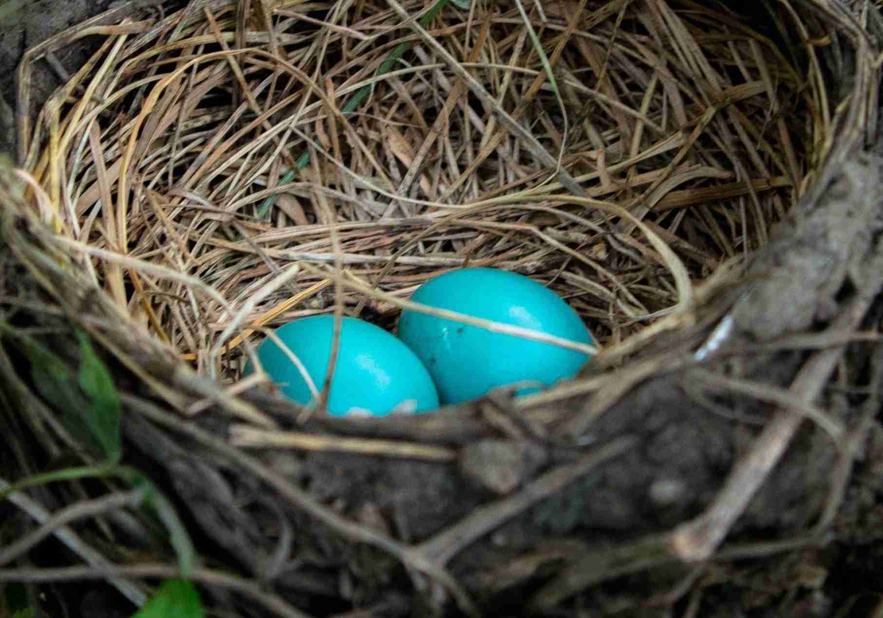 joint property ownership, trust deeds