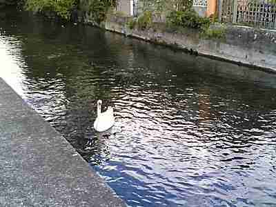 Contact us, Legal services, Contact Us Harold G Walker Solicitors in Verwood, Solicitors in Dorset, Free Legal Advice Verwood Free Legal Clinic Verwood