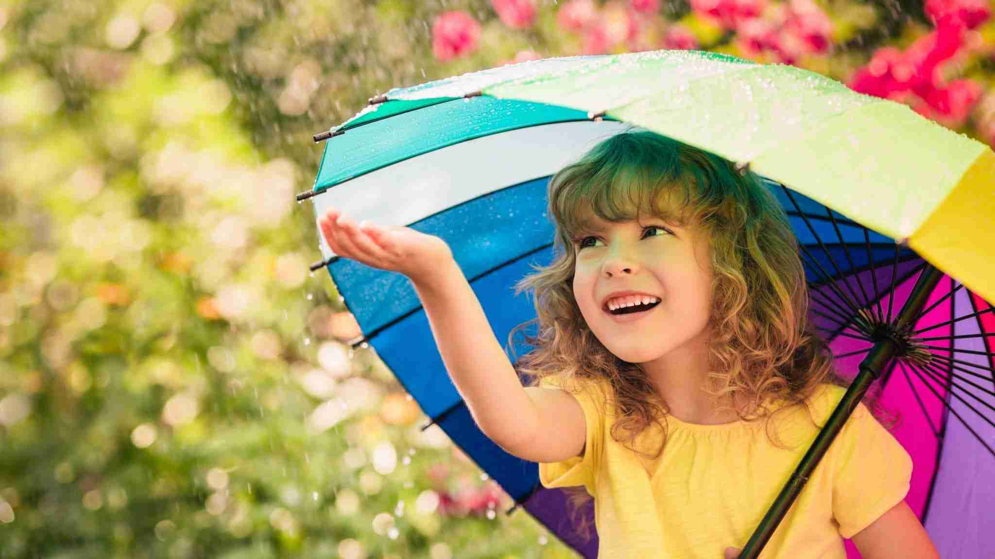 solicitors and lawyers Solicitors in Wimborne, Solicitors in Christchurch, Solicitors in Broadstone, Solicitors in Verwood, legal services in Dorset, Solicitors in Wimborne, Solicitors in Broadstone, Solicitors in Broadstone, Solicitors in Christchurch, Solicitors in Verwood.